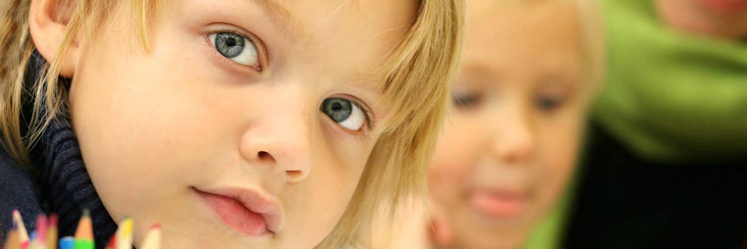 Niepubliczne Przedszkole "U Lolka" w Pabianicach